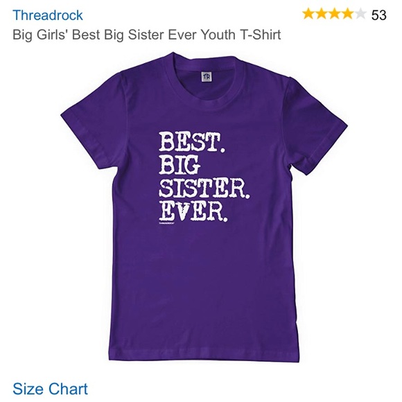 Threadrock Big Girls Best Big Sister Ever Youth T-Shirt